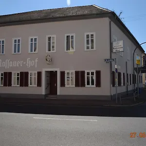 Nassauer Hof Hotel